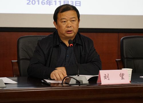 刘望