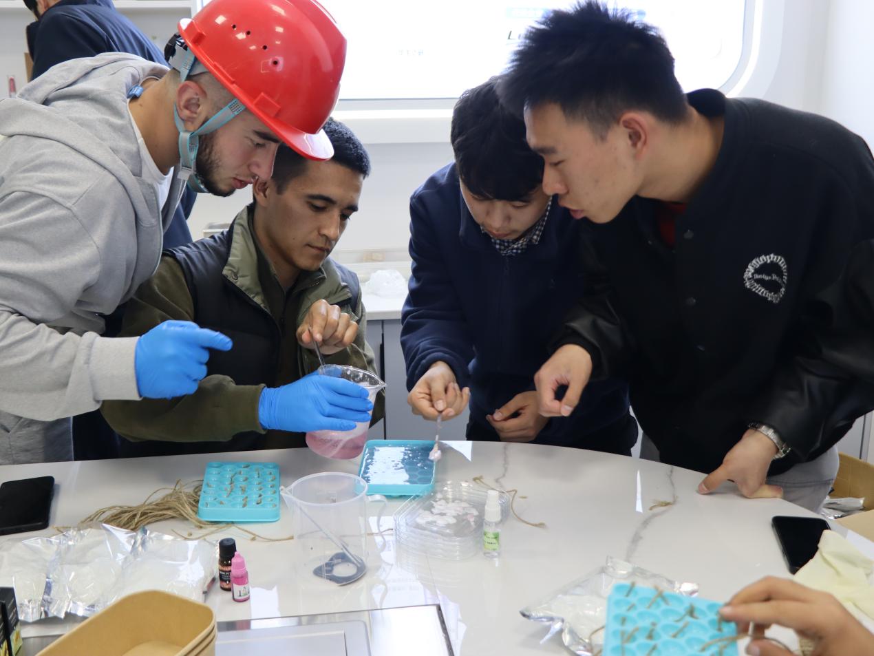 数字赋能&nbsp;&nbsp;探知化工文化