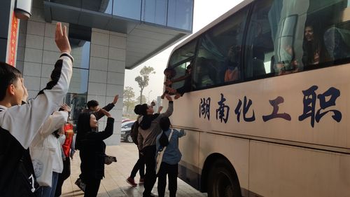依依道别