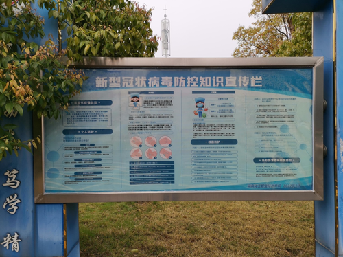 图片4