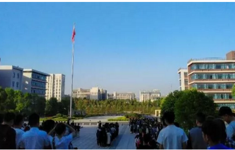 图片4