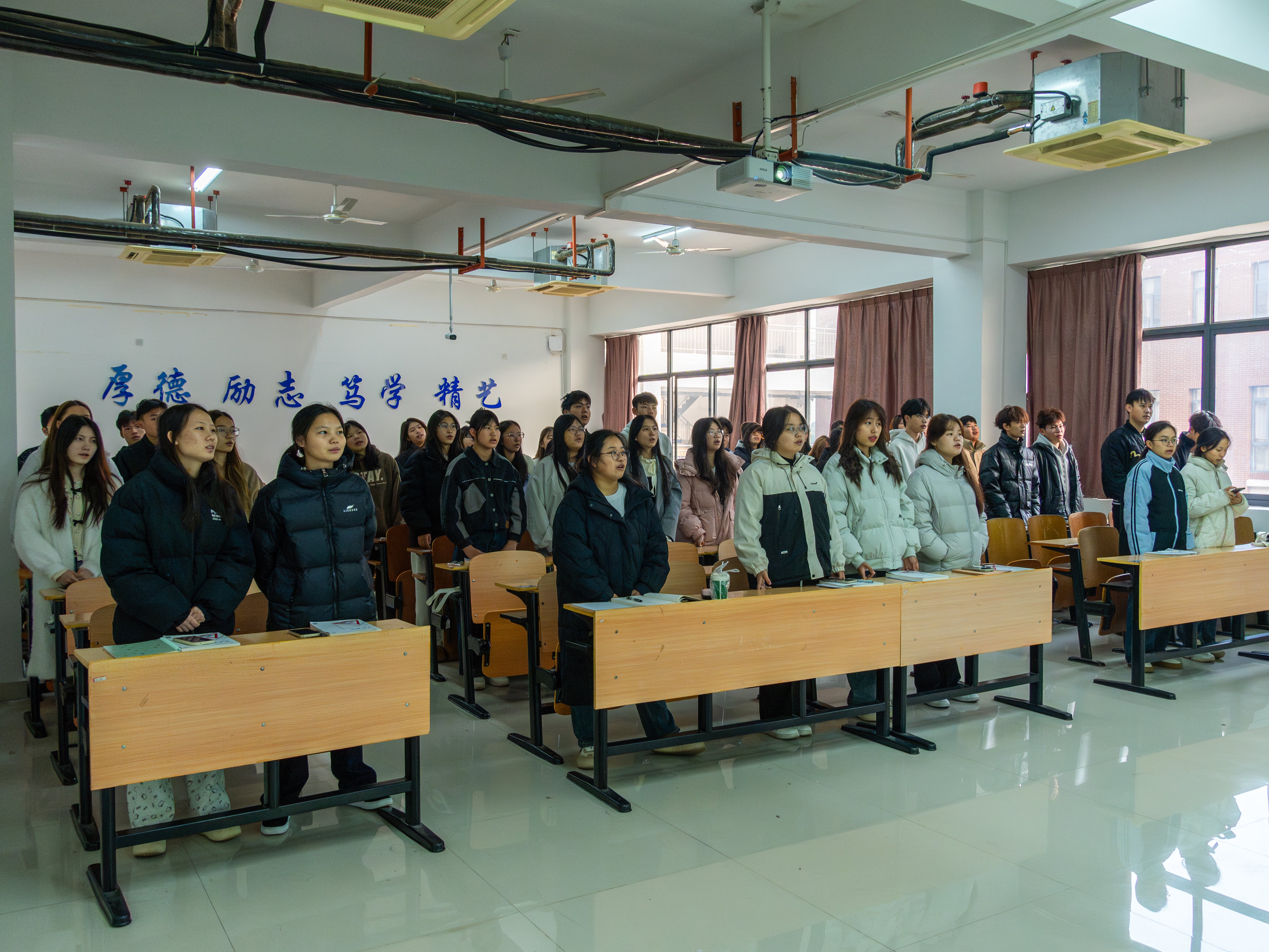 DSC02698-已增强-降噪-6.jpg