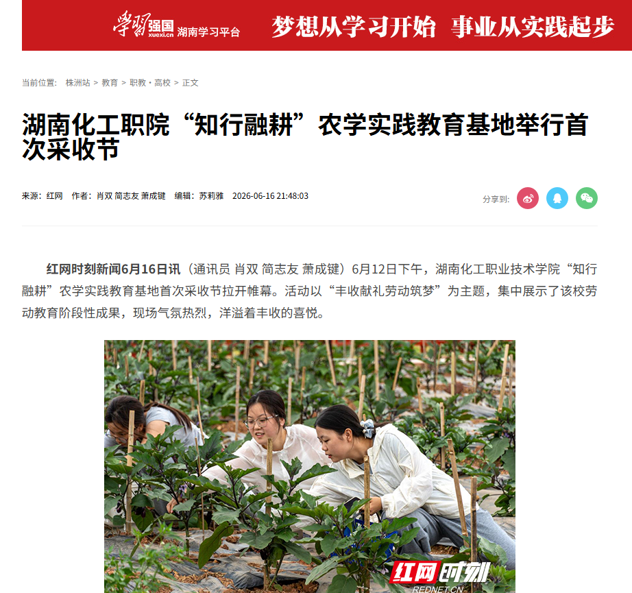 d510fad2-1257-492f-8589-1bcb0262081c.png