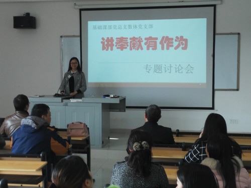 数体支部专题四讨论会3