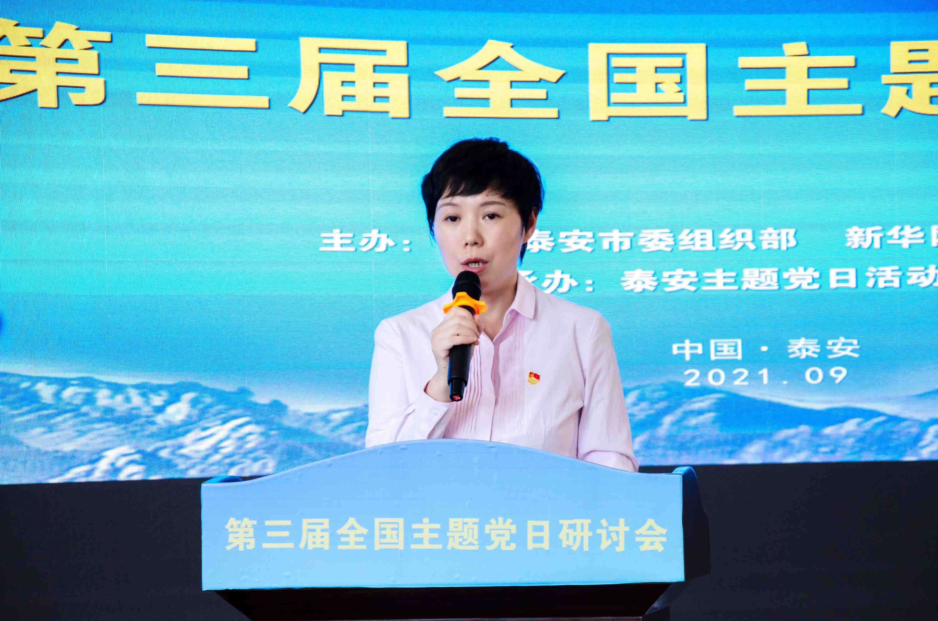 罗莹在第三届全国主题党日研讨会上作经验交流