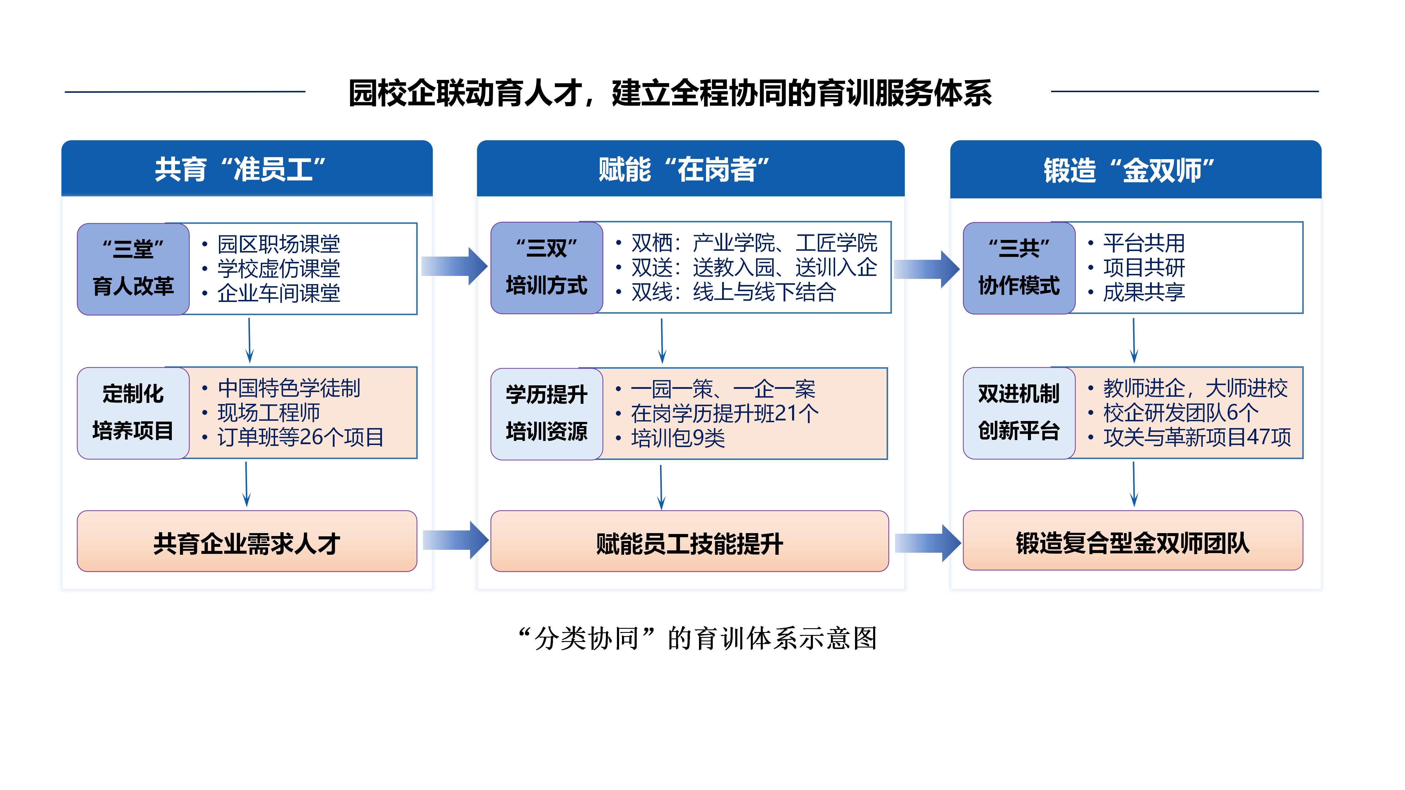“分类协同”的育训体系示意图