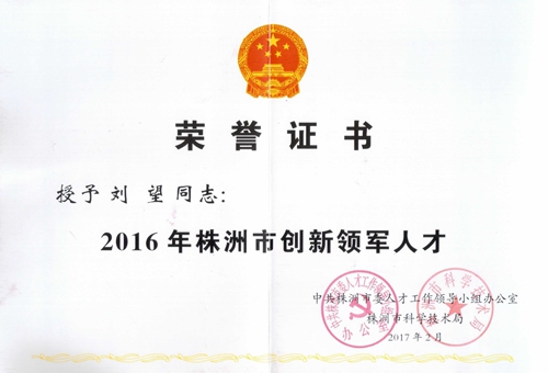 2016年株洲市创新领军人才证书_副本