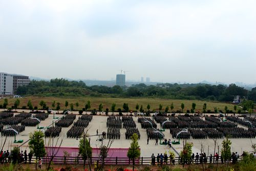 IMG_2790_副本 IMG_2790_副本