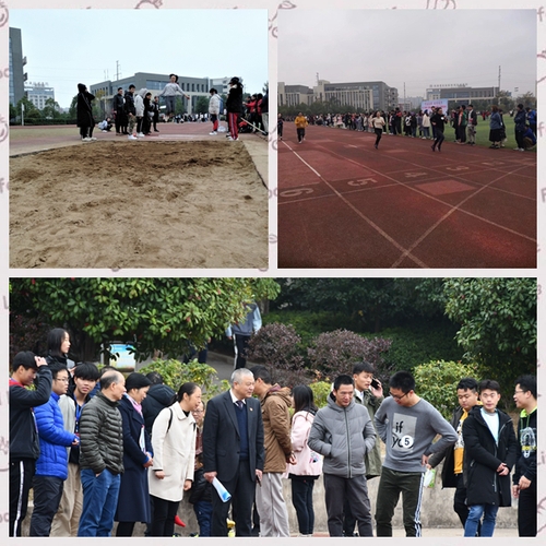 教职工运动员风采