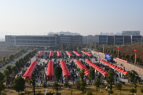 全景1