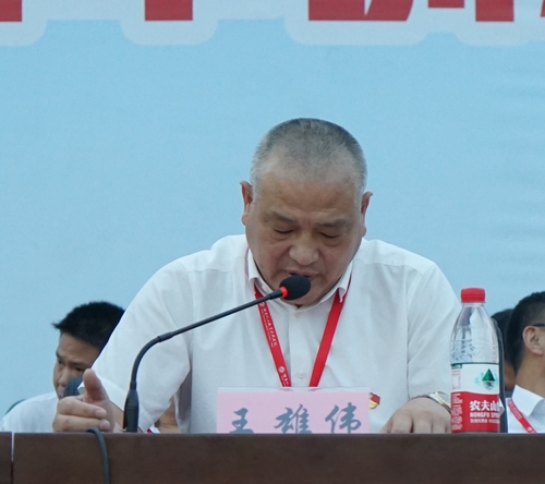 王书记