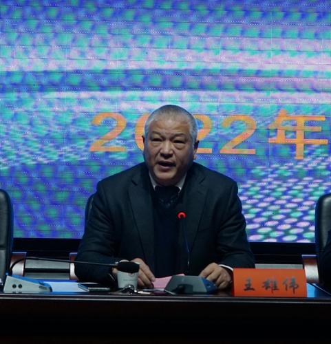 书记王雄伟