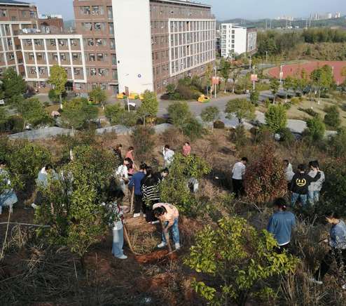 种一棵小树，绿一方净土——湖南化工职院组织开展2022年植树周活动