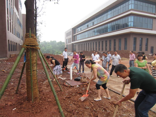 4902班樟树捐赠,给学院新校区带来第一抹绿