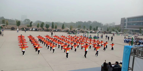 图片3